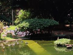 -九龙公园