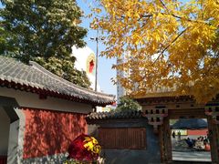 -护国法轮寺