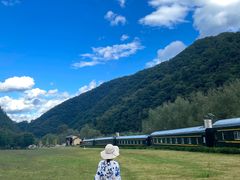 -牛背梁国家森林公园