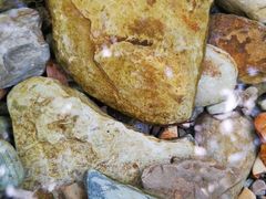 -咸丰县唐崖河景区