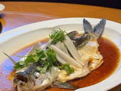 -宁波柏悦酒店·钱湖渔港
