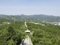 -原山国家森林公园