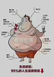 -香薇妮丝女子减肥院