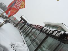 -江南天池