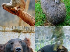 -云南野生动物园