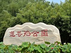 -莲花池公园