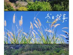 -广东天露山旅游度假区