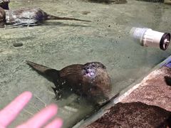 -重庆欢乐海底世界