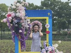 -荷兰花海