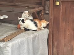 -敬亭山风景名胜区