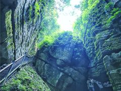 -梦幻奥陶纪景区