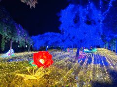 -青龙湖公园