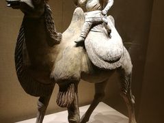 -宁夏博物馆
