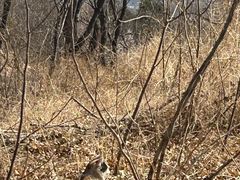 -北京西山国家森林公园