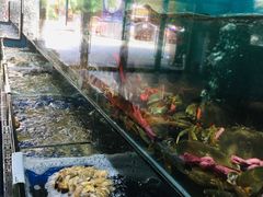 -南海渔家•海鲜•正宗海南菜(海棠湾店)