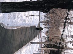 -黛秀湖公园