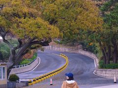 -青岛崂山太清宫