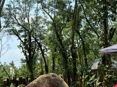 -西双版纳傣族园