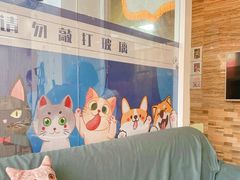 -芭比堂动物医院·心脏科·老年急重症·夜诊·吉雅分院