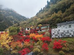 -古尔沟华美达温泉度假酒店