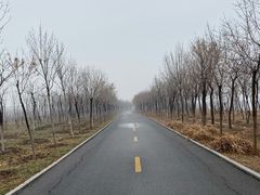 -天津东丽湖风景区