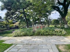 -江心屿景区