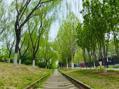 -永定河休闲森林公园