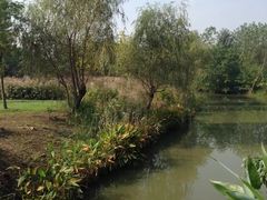 -梁鸿国家湿地公园