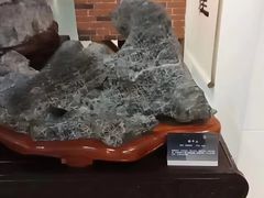 -中华赏石园