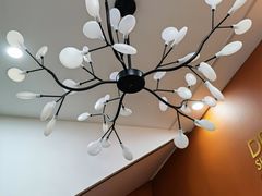 -光明新鲜屋·鲜乳茶(乾坤店)