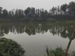 -白鹭湾湿地公园