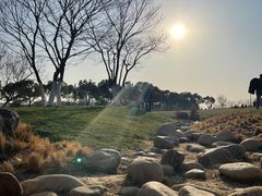 -羊山湖公园