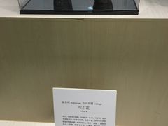 -北京植物园-展览温室