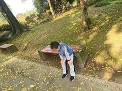 -南山植物园