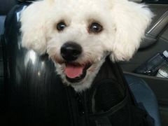 -麦当劳(南京水西门大街店)