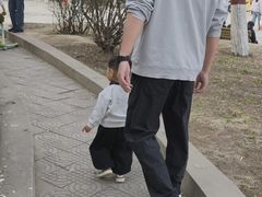 -保定市动物园