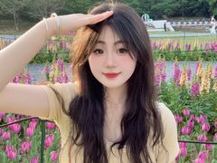 -苏州上方山国家森林公园