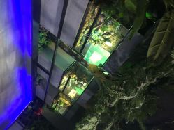 -未来动物城主题公园(正弘城店)
