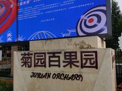 -菊园百果园