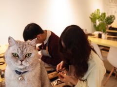 -Oasis绿洲银饰珍珠手作diy(壹方城店)