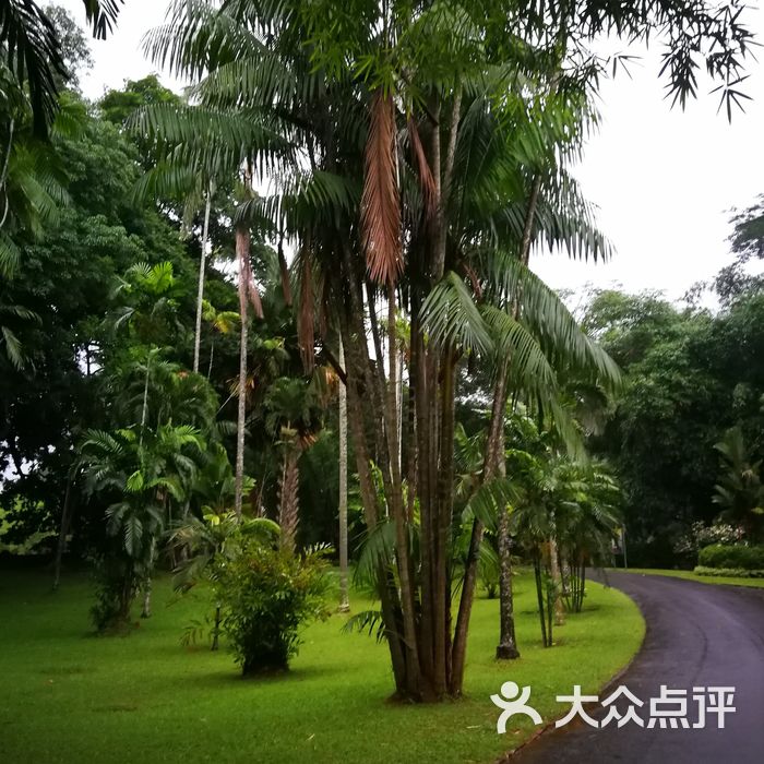 xianxian           朱猫猫xianxian     上传于2018-05-10 11:26:36