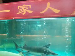 -年辉渔村·非遗传承餐厅(新丰江店)