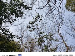 -杭州半山国家森林公园