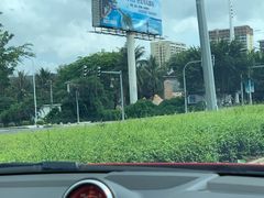 -三亚新鸿港水果一级批发市场