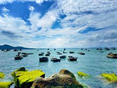-海源公园