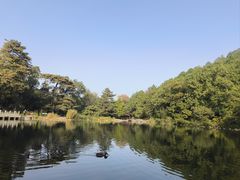 -香山公园