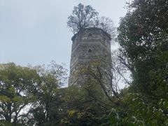 -江心屿景区