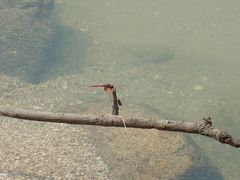 -南丫岛