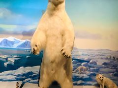 -陕西自然博物馆