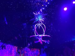 -珠海横琴长隆《卡卡虎奇遇记》